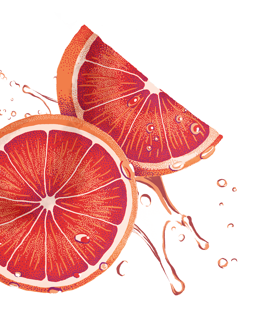 illustration pamplemousse